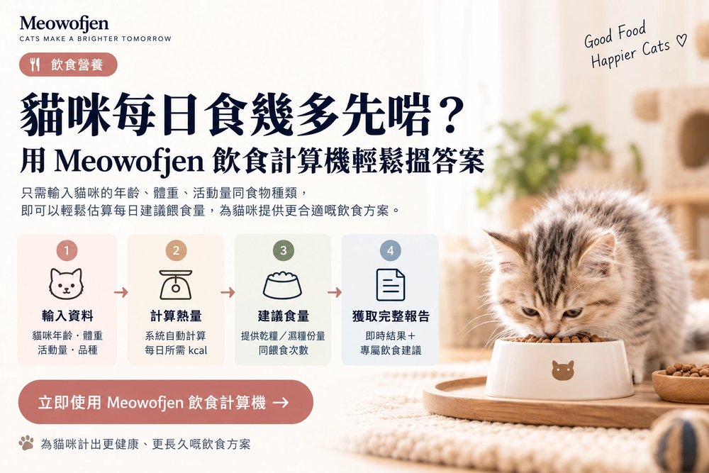 Meowofjen 貓咪每日食量計算機指南