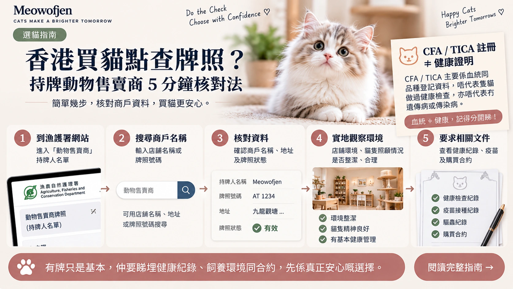 香港買貓牌照核對指南