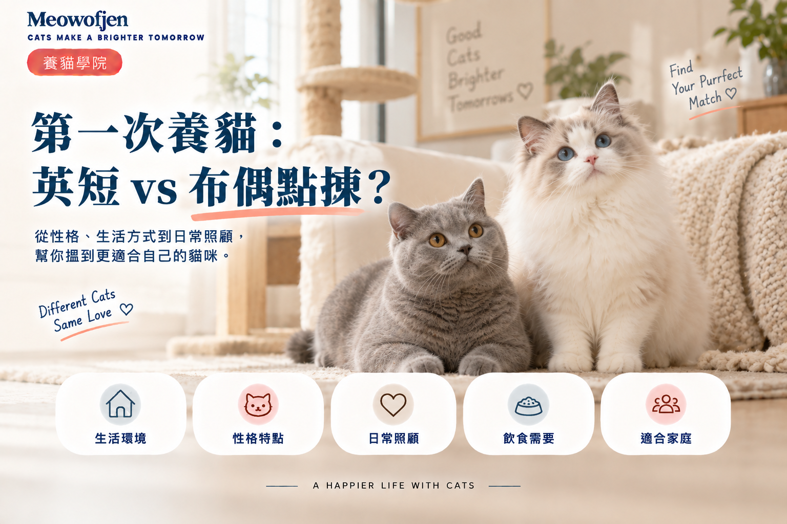 第一次養貓：英短 vs 布偶點揀？｜Meowofjen 養貓學院