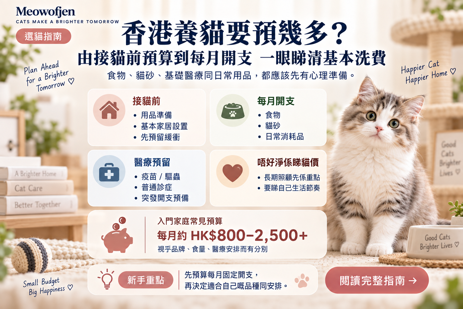 香港買貓要預幾多錢？2026 第一年度實際預算＋每月開支｜Meowofjen 養貓學院