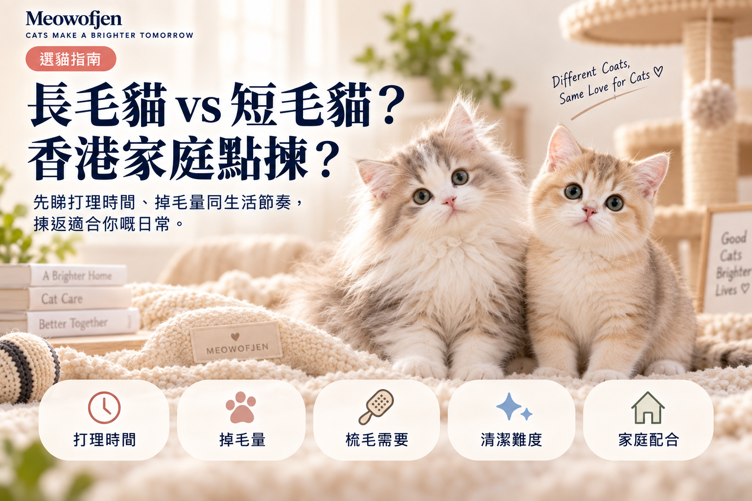 長毛貓 vs 短毛貓香港點揀？梳毛、打結、美容成本完整比較｜Meowofjen 養貓學院
