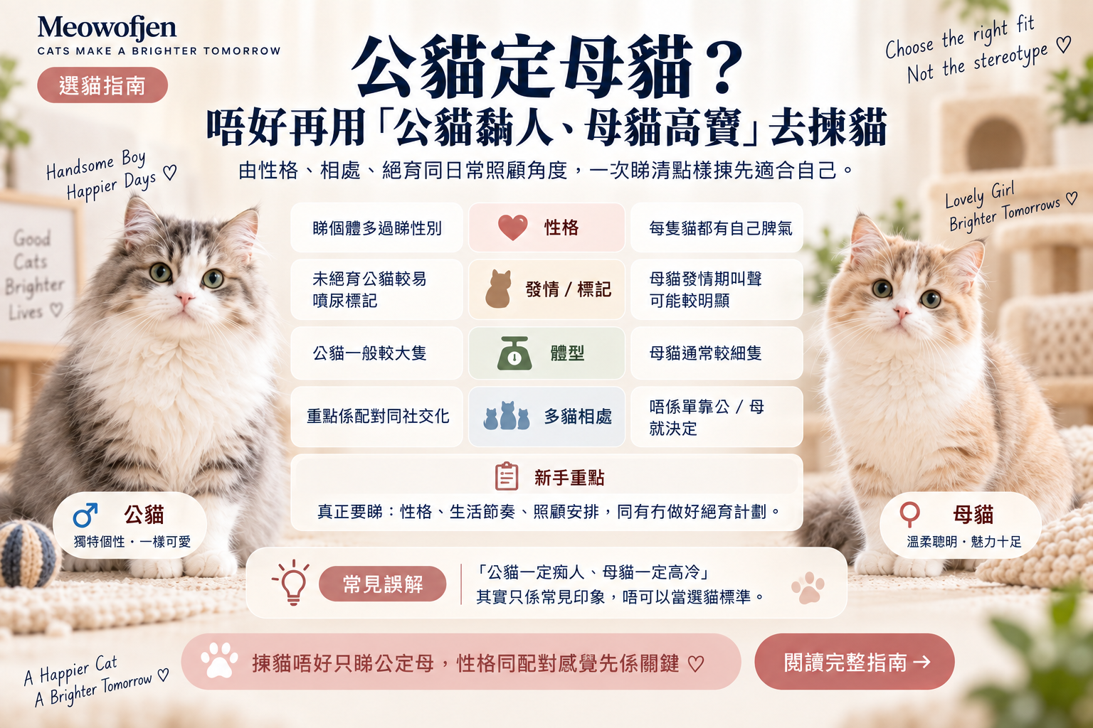 公貓定母貓？第一次買貓最容易睇錯嘅其實係「性別」